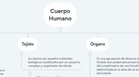 Mind Map: Cuerpo Humano