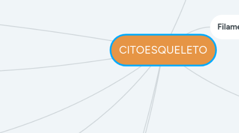 Mind Map: CITOESQUELETO