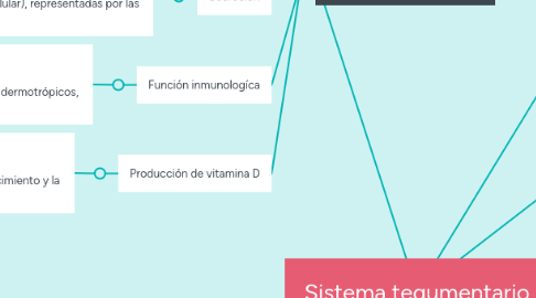 Mind Map: Sistema tegumentario