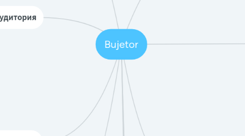 Mind Map: Bujetor