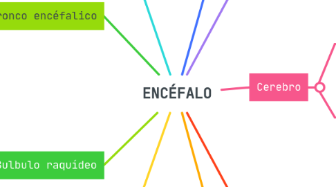 Mind Map: ENCÉFALO