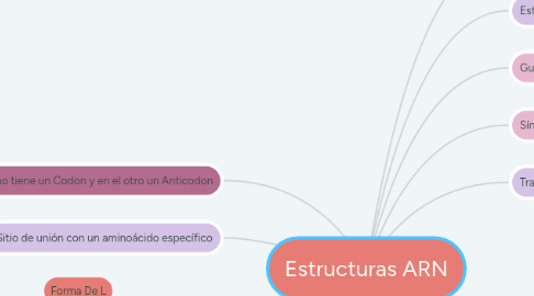 Mind Map: Estructuras ARN