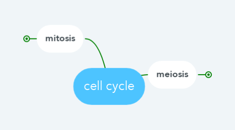 Mind Map: cell cycle