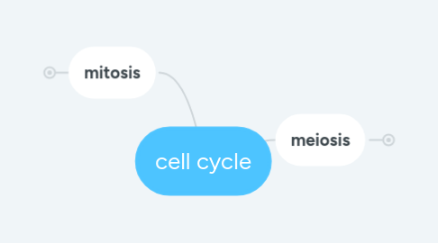 Mind Map: cell cycle