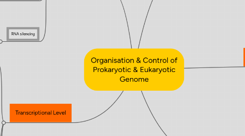 Mind Map: Organisation & Control of Prokaryotic & Eukaryotic Genome