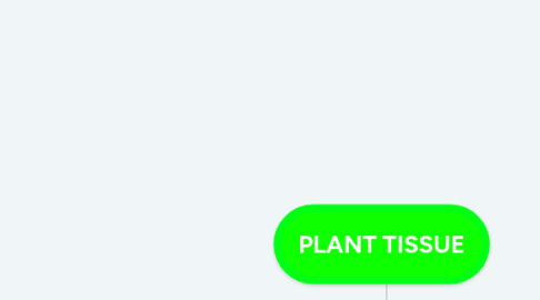 Mind Map: PLANT TISSUE