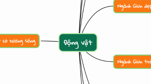 Mind Map: Động vật