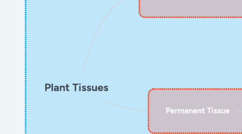 Mind Map: Plant Tissues