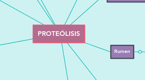 Mind Map: PROTEÓLISIS
