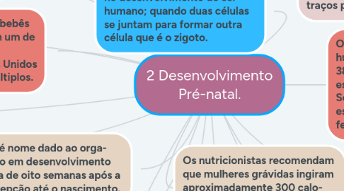 Mind Map: 2 Desenvolvimento Pré-natal.