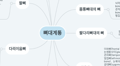 Mind Map: 뼈대계통