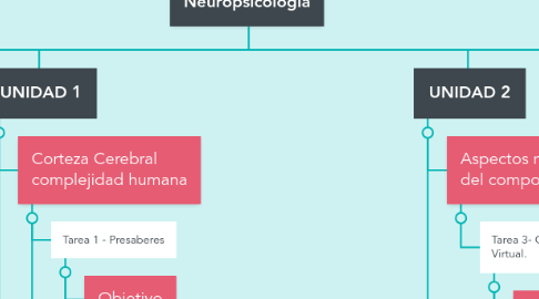 Mind Map: Curso de Neuropsicología