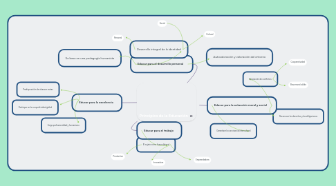 Mind Map: Principios de la Educación