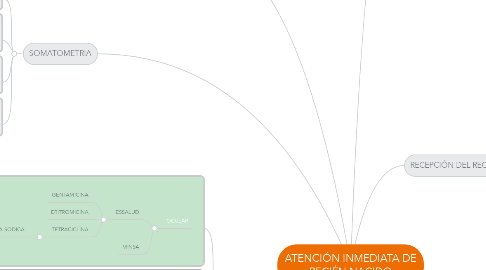 Mind Map: ATENCIÓN INMEDIATA DE RECIÉN NACIDO