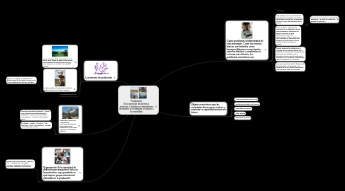 Mind Map: Producción: Es la creación de bienes y servicios. Consiste en transformar la materia y en adaptar el objeto a la necesidad.