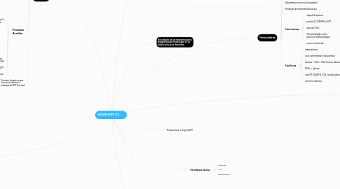 Mind Map: BIOENERGÉTICA