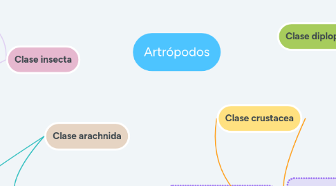 Mind Map: Artrópodos