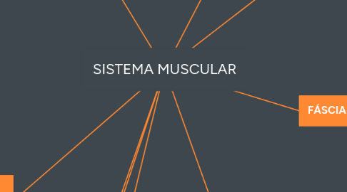 Mind Map: SISTEMA MUSCULAR