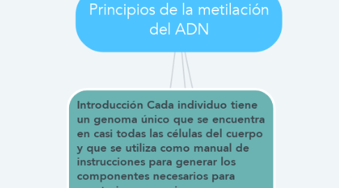 Mind Map: Principios de la metilación del ADN