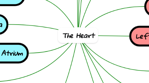 Mind Map: The Heart