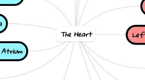 Mind Map: The Heart