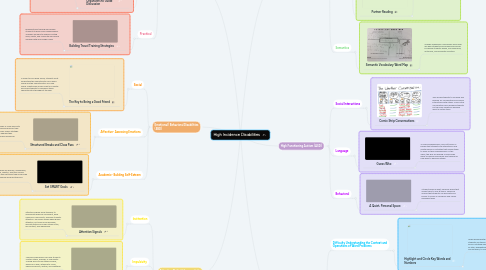 Mind Map: High Incidence Disabilities