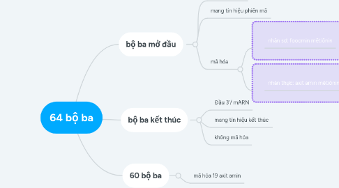 Mind Map: 64 bộ ba