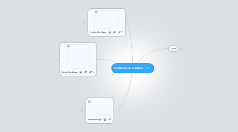 Mind Map: Cartilage and Joints