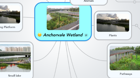 Mind Map: Anchorvale Wetland