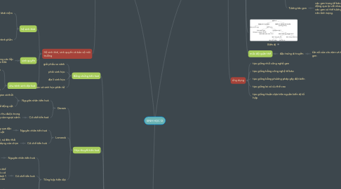 Mind Map: SINH HỌC 12