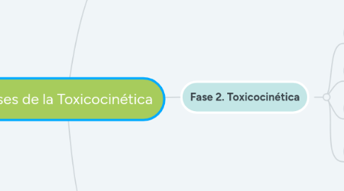 Mind Map: Fases de la Toxicocinética