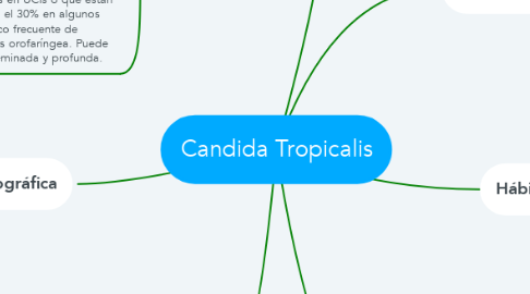 Mind Map: Candida Tropicalis