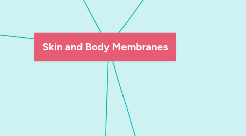 Mind Map: Skin and Body Membranes