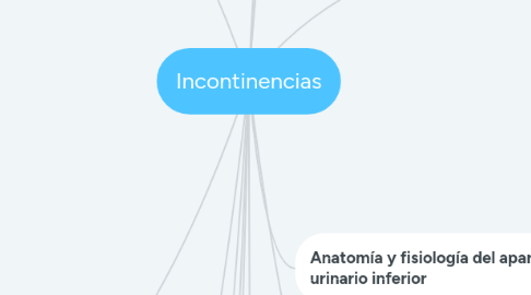 Mind Map: Incontinencias