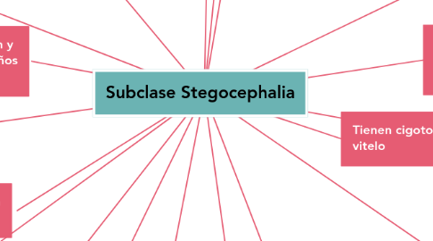 Mind Map: Subclase Stegocephalia