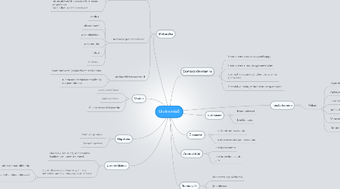 Mind Map: Uurimistöö