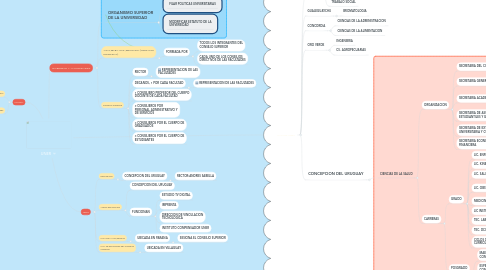 Mind Map: UNER