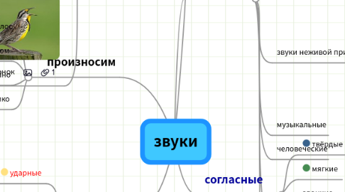 Mind Map: звуки