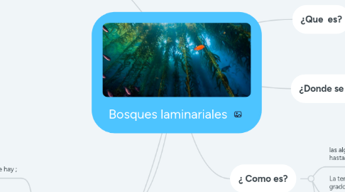 Mind Map: Bosques laminariales