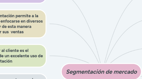 Mind Map: Segmentación de mercado