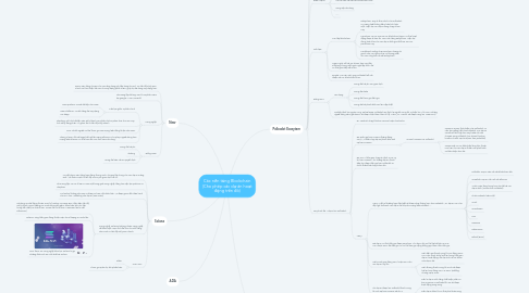 Mind Map: Các nền tảng Blockchain (Cho phép các dự án hoạt động trên đó)