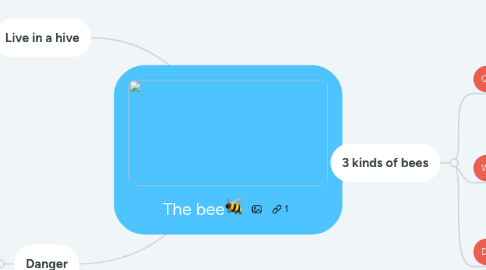 Mind Map: The bee🐝