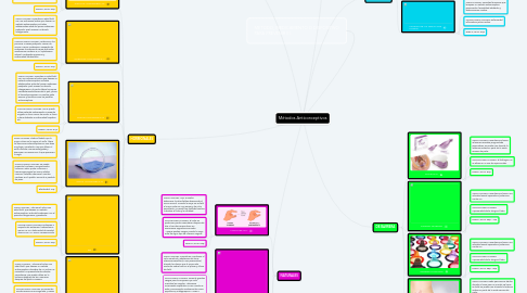 Mind Map: Métodos Anticonceptivos