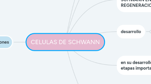 Mind Map: CELULAS DE SCHWANN