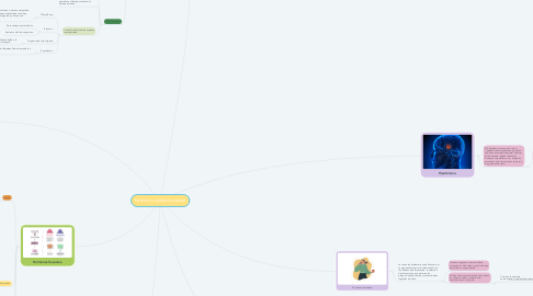 Mind Map: Hambre y conducta sexual.