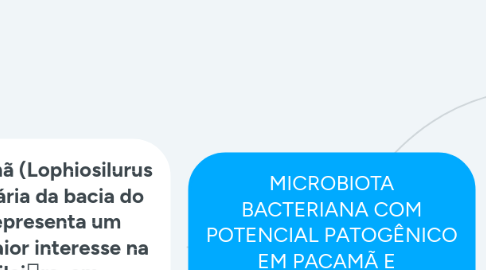 Mind Map: MICROBIOTA BACTERIANA COM POTENCIAL PATOGÊNICO EM PACAMÃ E PERFIL DE SENSIBILIDADE A ANTIMICROBIANOS