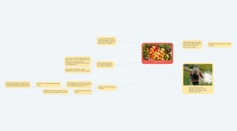 Mind Map: Organic Foods