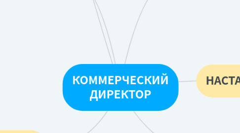 Mind Map: КОММЕРЧЕСКИЙ ДИРЕКТОР
