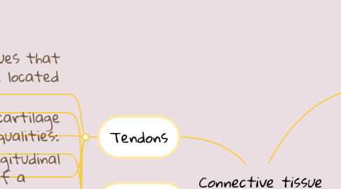 Mind Map: Connective tissue