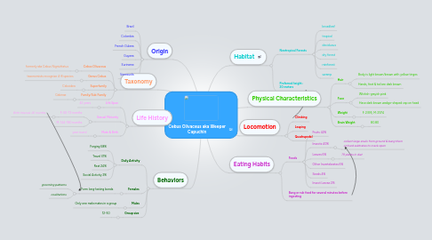 Mind Map: Cebus Olivaceus aka Weeper Capuchin